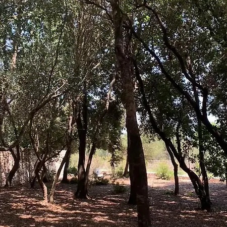 Casa Canetto, Vous Y êtes Déjà! 14 Personnes * Bonifacio (Corsica)