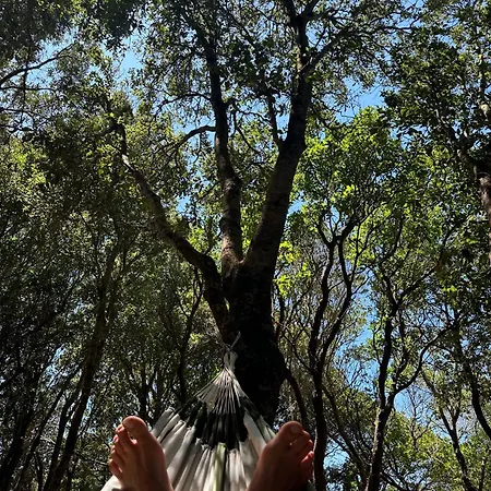 Casa Canetto, Vous Y êtes Déjà! 14 Personnes