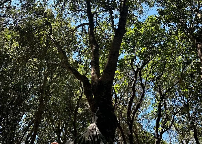 Casacanetto Villa, Et Piscine Chauffee
