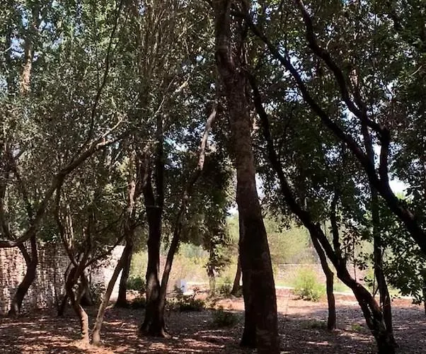Casacanetto Villa, Et Piscine Chauffee * Bonifacio (Corsica)